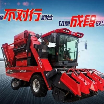 金大豐4YZPSJ-4C玉米收獲機(jī)